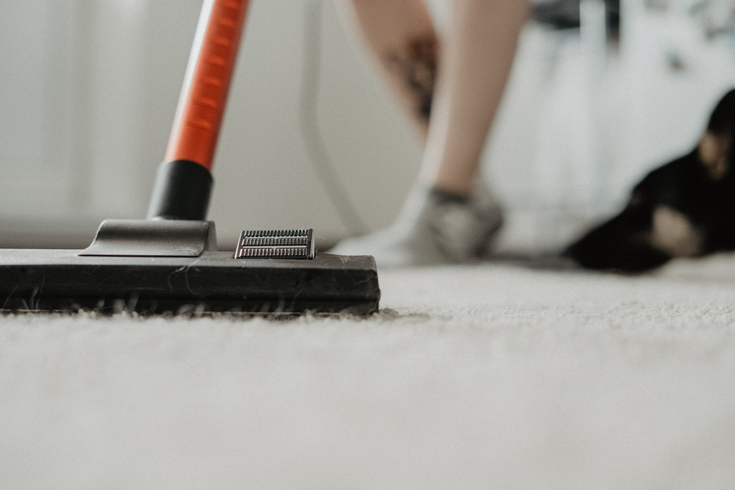 Top-tier carpet cleaning in McKinney, TX